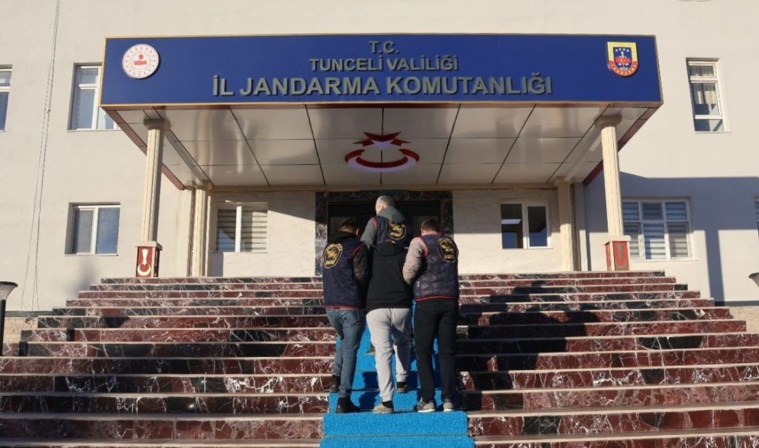 Tunceli’de “sahte gönül ilişkileri” kurarak milyonlarca liralık dolandırıcılık yaptığı belirlenen