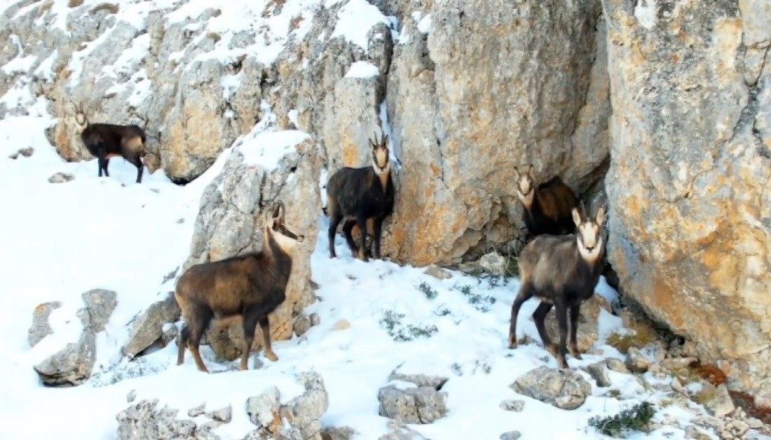 Erzincan ile Tunceli arasında uzanan ve 3 bin 300 rakıma