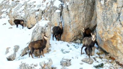 Erzincan ile Tunceli arasında uzanan ve 3 bin 300 rakıma