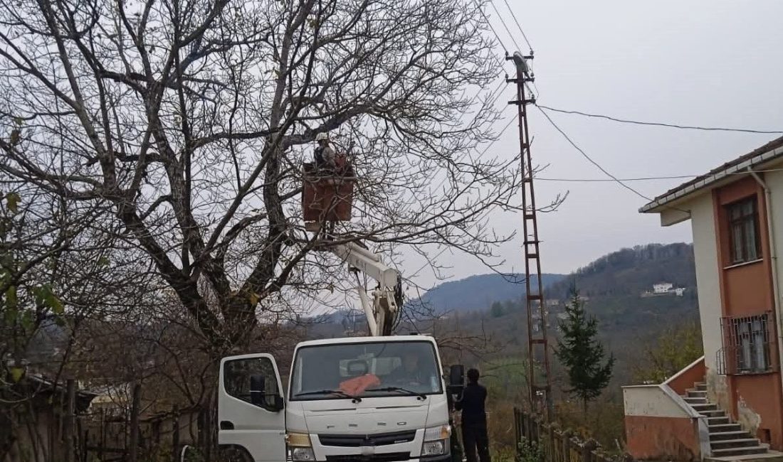 Ordu’nun Kumru ilçesinde elektrik tellerine temas eden ağaç dalları planlı