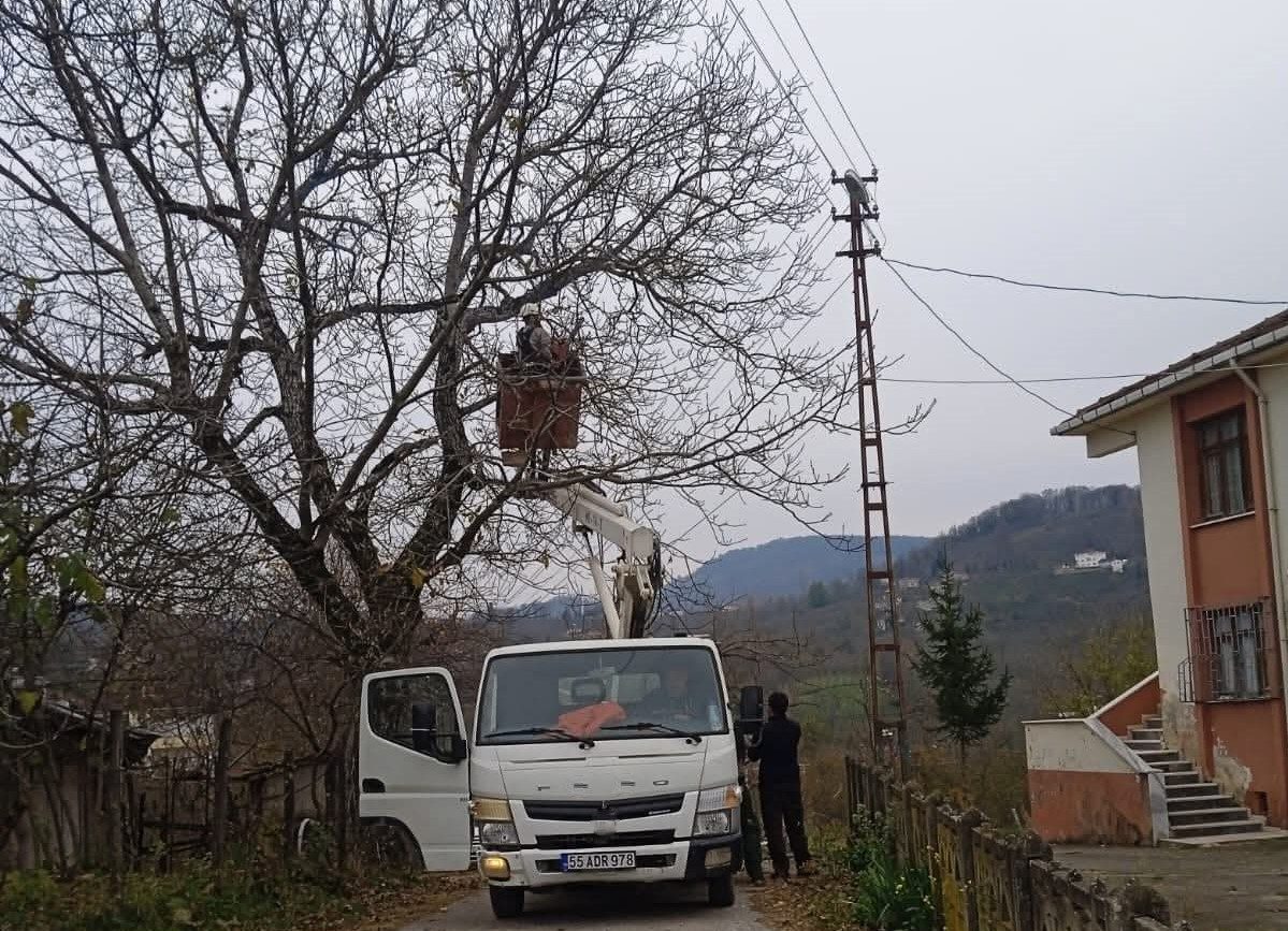 Ordu’nun Kumru ilçesinde elektrik tellerine temas eden ağaç dalları planlı