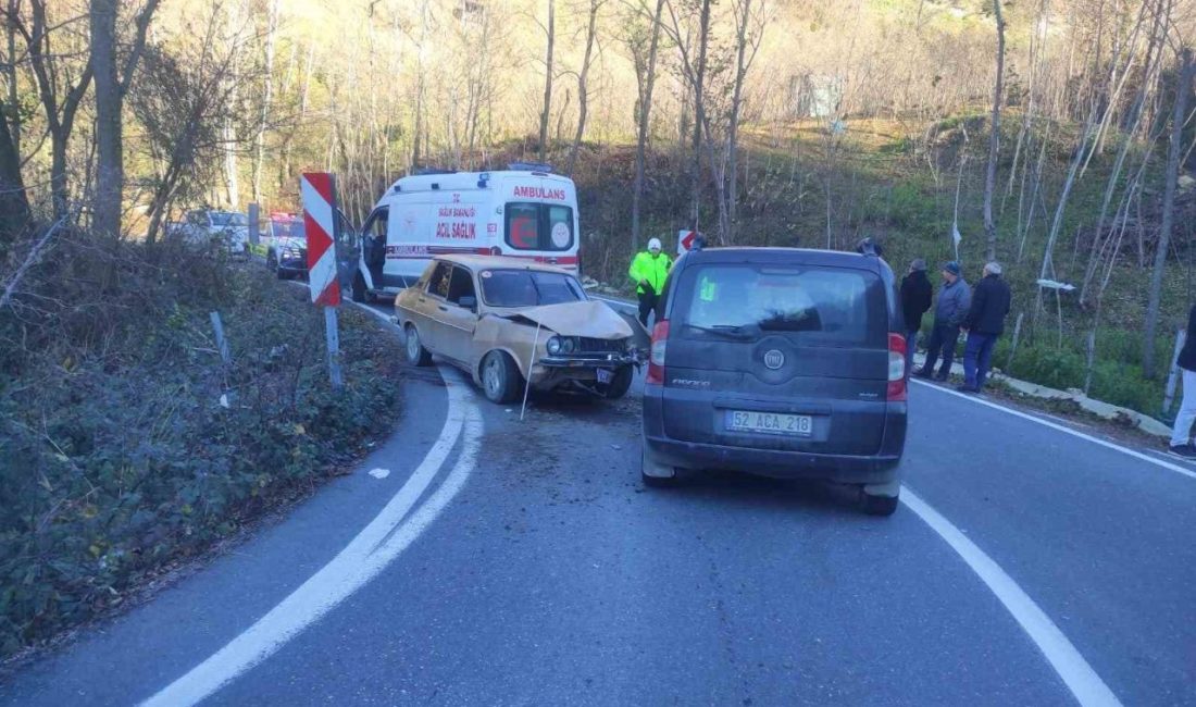 Ordu’nun Ulubey ilçesinde otomobil ile ticari aracın çarpışması sonucu meydana