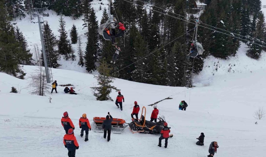 Ordu’nun 2 bin rakımlı Çambaşı Yaylası’nda, 650 dönüm alan üzerine