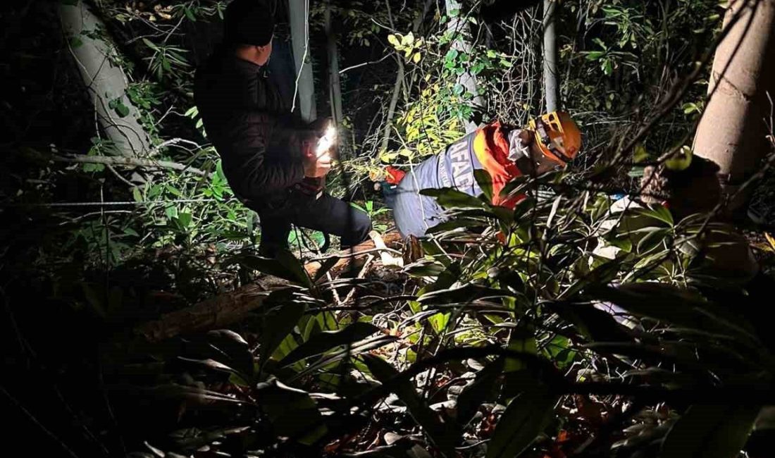 Sakarya’nın Arifiye ilçesinde orman kesim sahasında dengesini kaybederek düşen 24