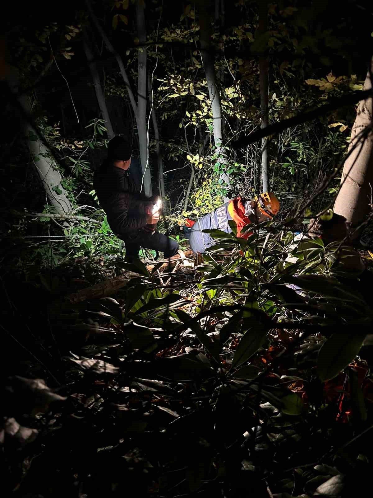 Sakarya’nın Arifiye ilçesinde orman kesim sahasında dengesini kaybederek düşen 24