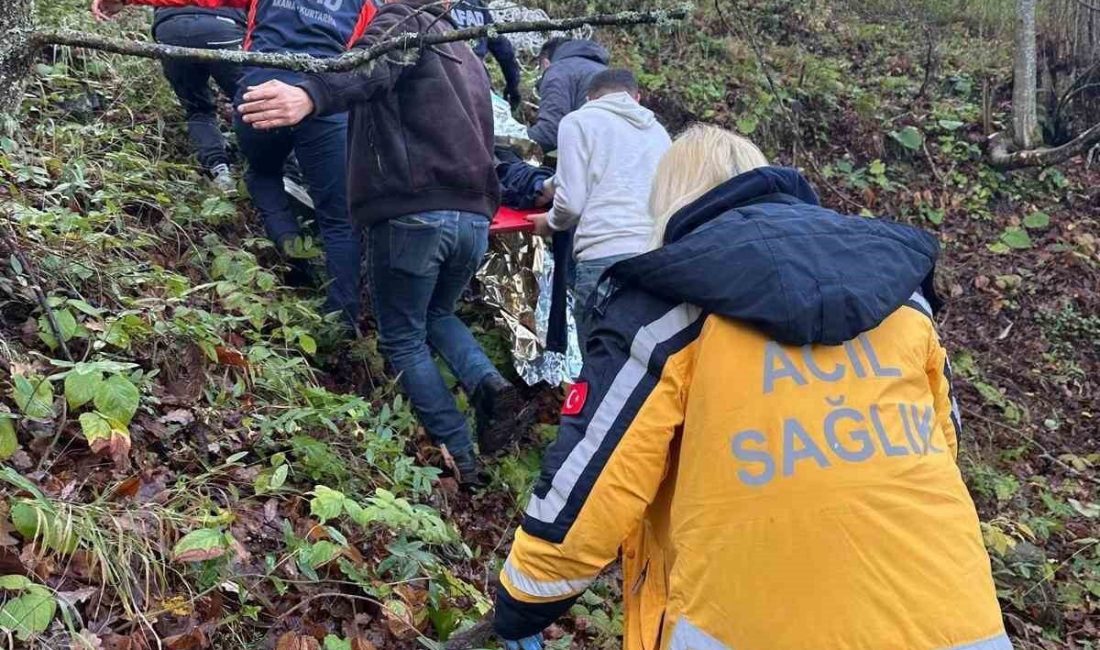 Zonguldak’ta otomobilin ormanlık alana uçması sonucunda iki kişi yaralandı. Edinilen