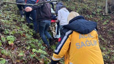 Zonguldak’ta otomobilin ormanlık alana uçması sonucunda iki kişi yaralandı. Edinilen