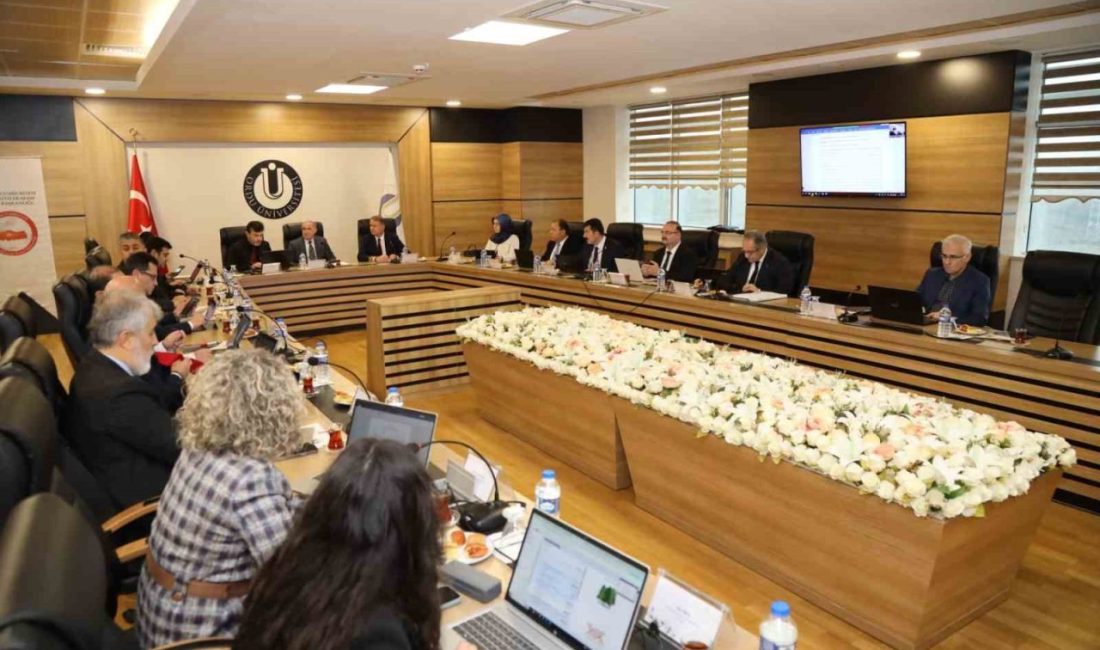 Üniversitelerarası Kurul Başkanlığının (ÜAK) 2025 yılı Aralık ayı Yönetim Kurulu