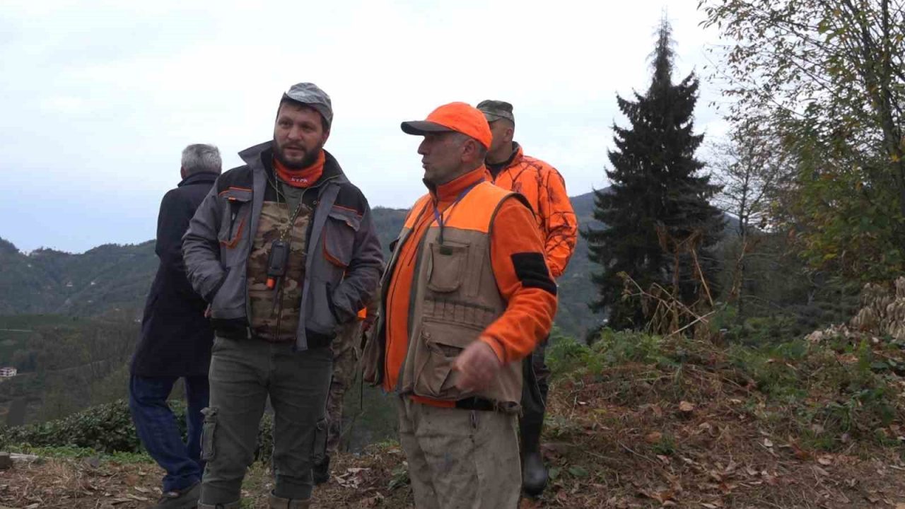 Başta ayı olmak üzere insanların yaşam alanlarına girerek özellikle çiftçileri