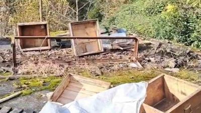 Rize’de ayıların saldırısı sonucu kovanları zarar gören bal üreticisi yaşanan