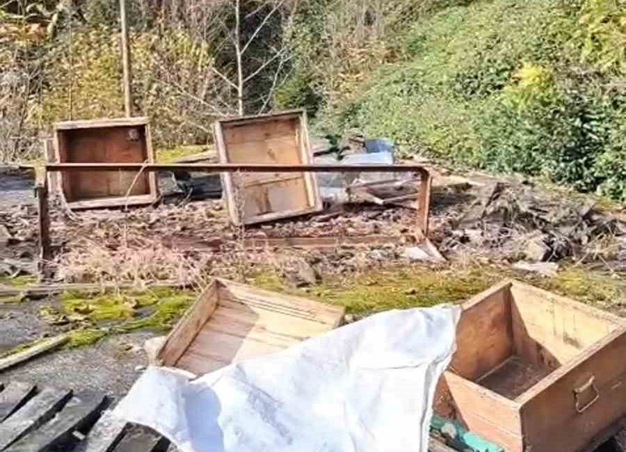 Rize’de ayıların saldırısı sonucu kovanları zarar gören bal üreticisi yaşanan