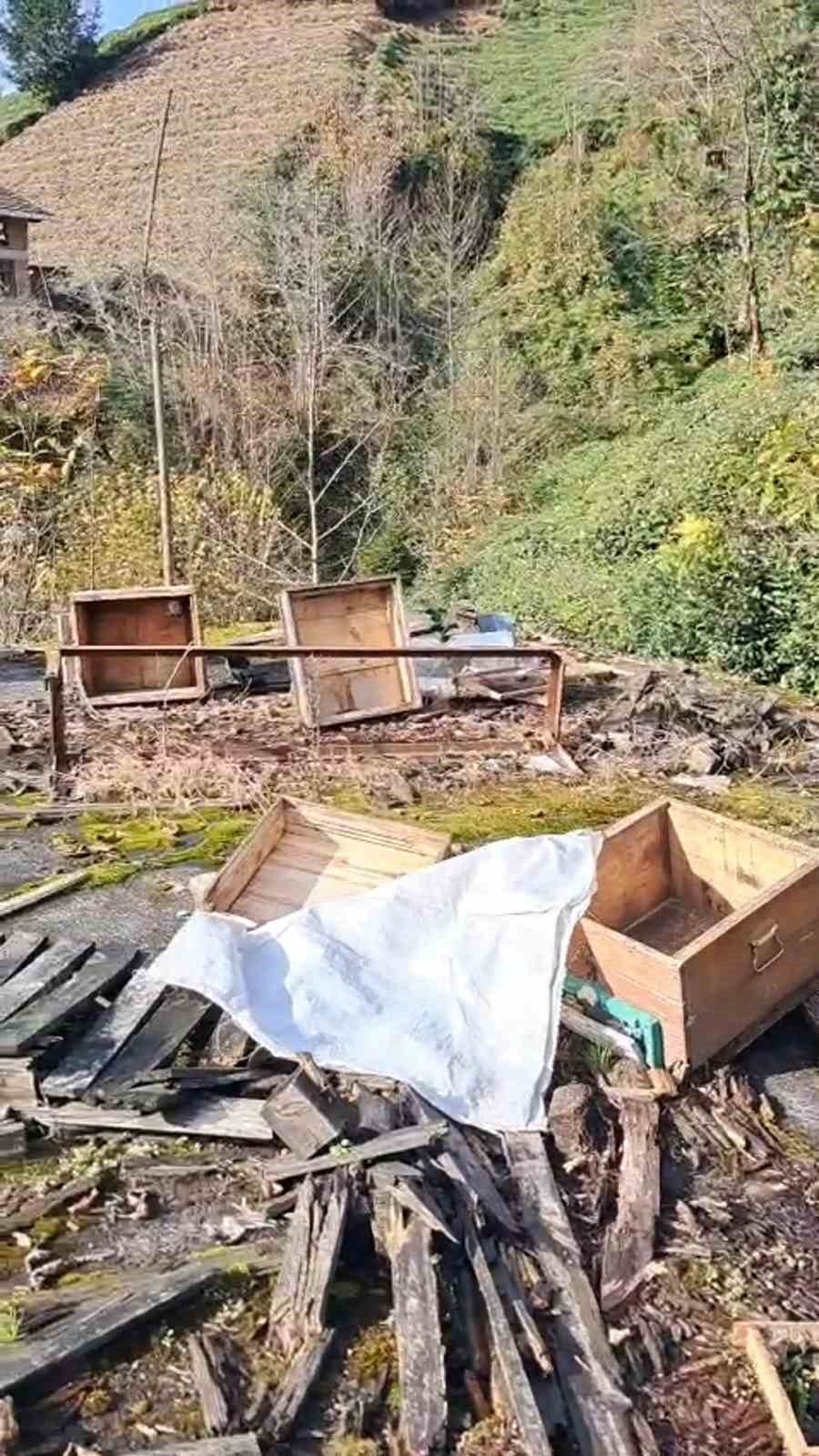 Rize’de ayıların saldırısı sonucu kovanları zarar gören bal üreticisi yaşanan