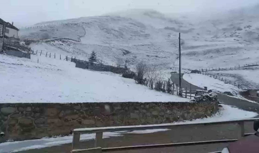 Rize’nin yüksek kesimlerinde kar yağışı etkili oluyor. Kaçkarlar’ın zirvelerinde dün