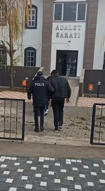 Sivas’ın Gemerek ilçesinde 3 farklı günde Kangal köpek çalan hırsızlar