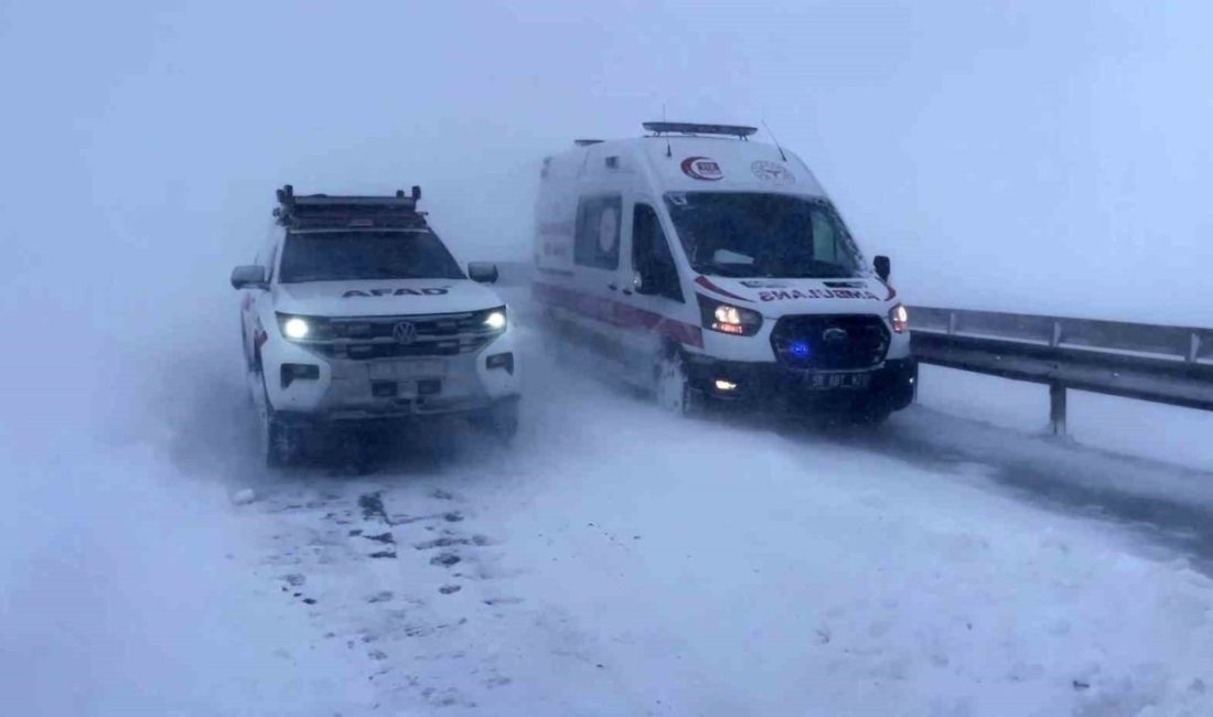 Sivas-Şarkışla karayolunun Sorguncuk mevkiinde 5 aracın birbirine girdiği kazada 4