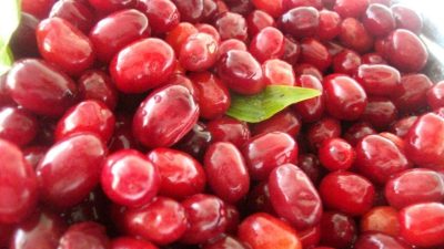 Uzman Diyetisyen Gaye Kural, kızılcığın bağışıklığı güçlendirerek grip ve soğuk