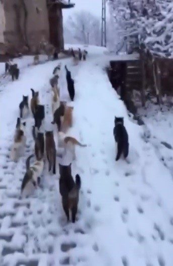 Erzincan’ın Kemah ilçesine bağlı Muratboynu köyünde bir vatandaş, kar yağışının