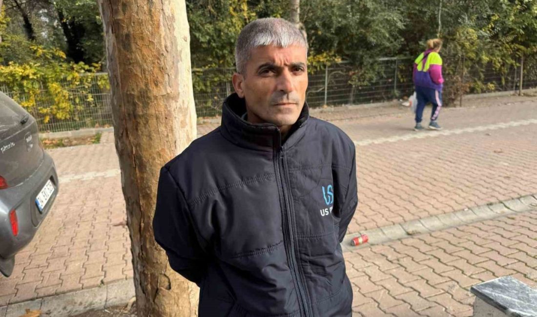 Kocaeli’nin Darıca ilçesinde ağacın dibine bırakılan poşetin içinde bulduğu 60