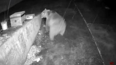 Trabzon’un Çaykara ilçesine bağlı Yeşilalan Mahallesi sınırları içinde bulunan Kama