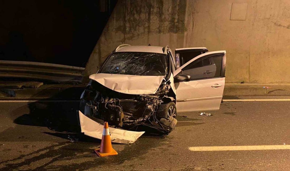 Zonguldak’ın Alaplı ilçesinde gece saatlerinde Kavukkavla mevkii tüneli girişinde meydana