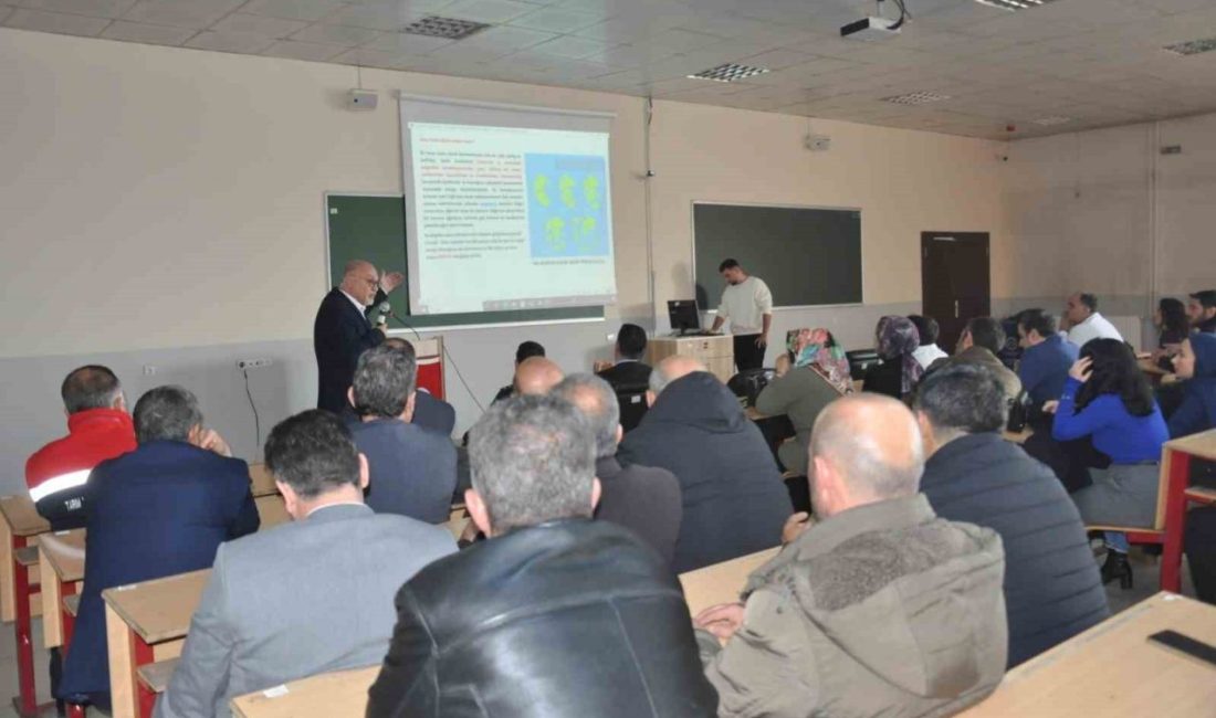 Atatürk Üniversitesi Pasinler Meslek Yüksek Okulu Dr. Öğretim Üyesi Hamit