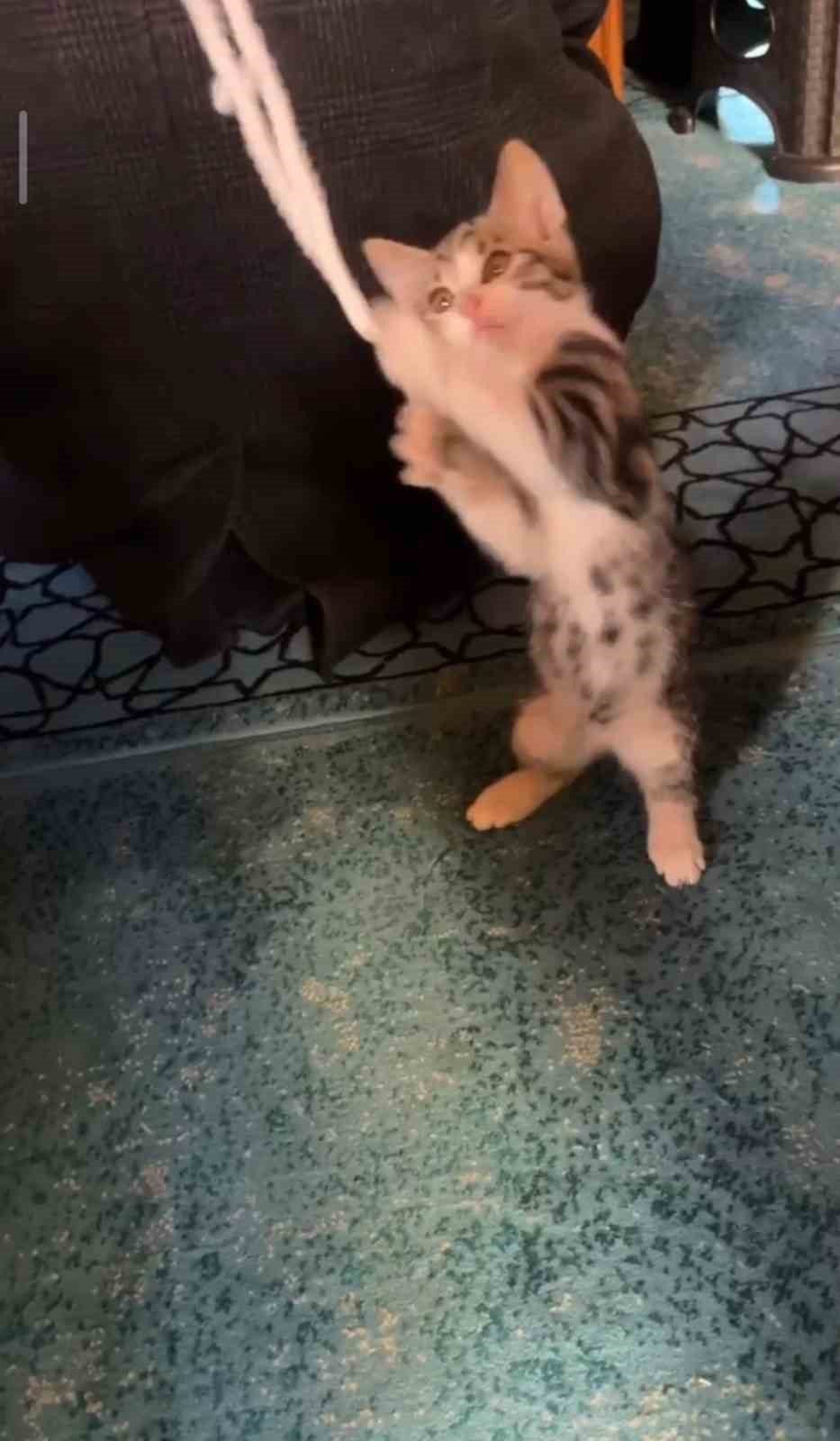 Gümüşhane’de Karşıyaka Mahallesi’ndeki Karşıyaka Camii’nde cuma namazı öncesi verilen vaaz