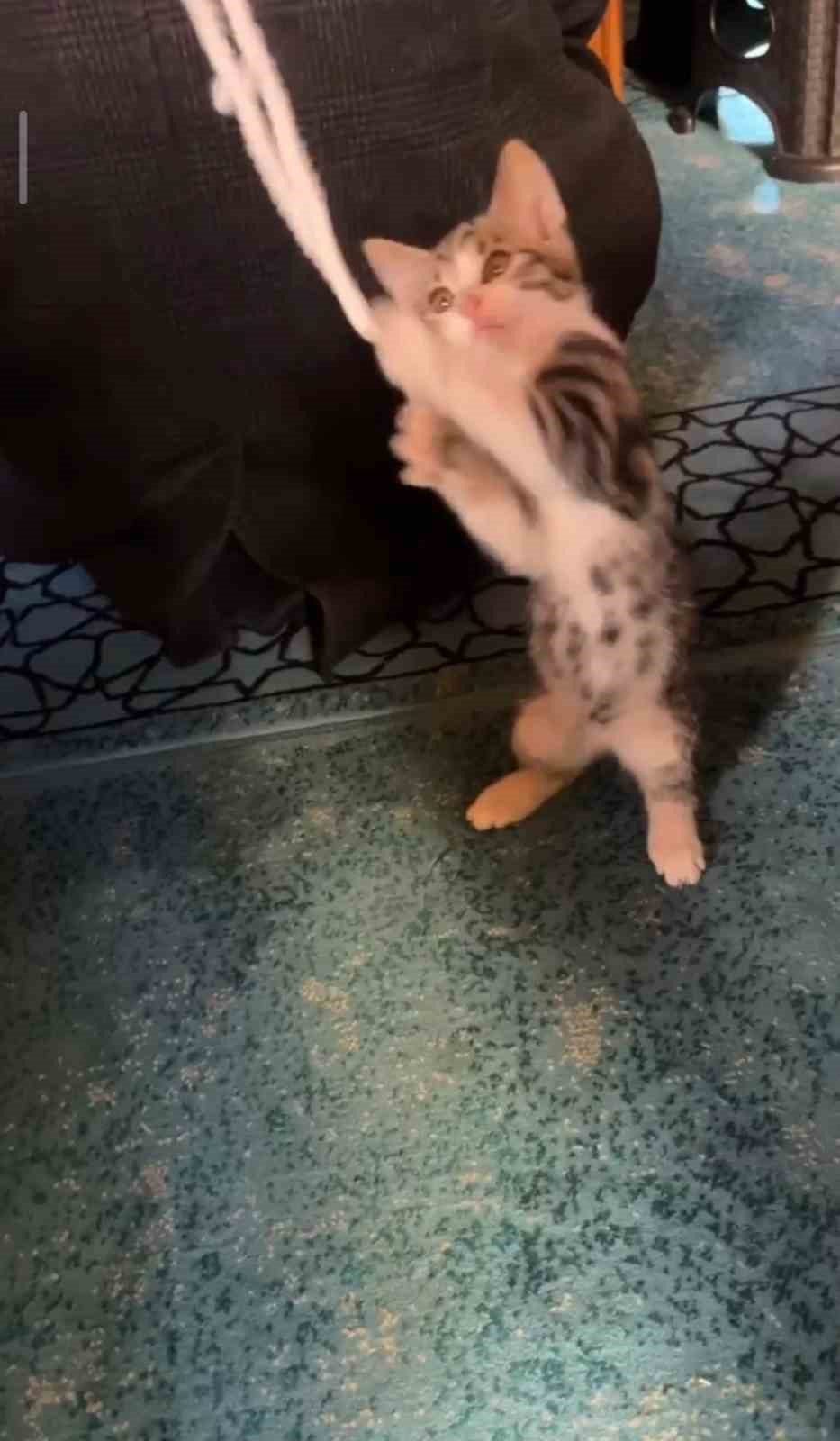 Gümüşhane’de Karşıyaka Mahallesi’ndeki Kemaliye Camii’nde cuma namazı öncesi verilen vaaz