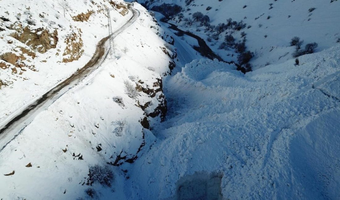 Afet ve Acil Durum Yönetimi Başkanlığı (AFAD), hava sıcaklıklarındaki artış