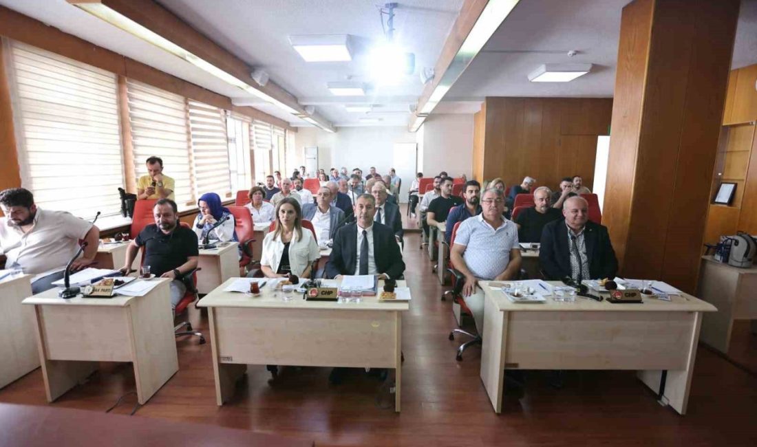 Merkezefendi Belediye Meclis Üyesi ve AK Parti Grup Başkan Vekili