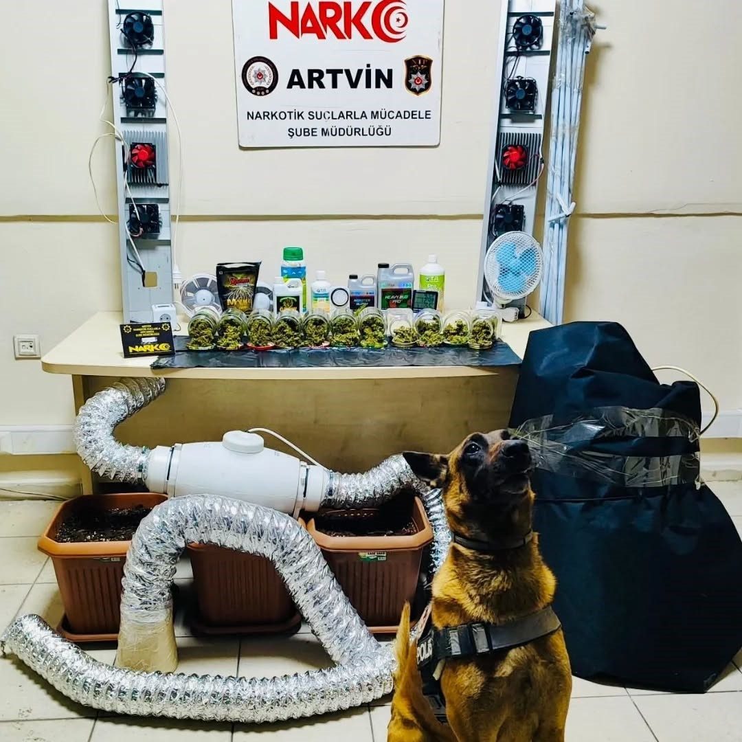 Artvin’in Arhavi ilçesinde narkotik ekiplerince düzenlenen operasyonda 205 gram skunk,