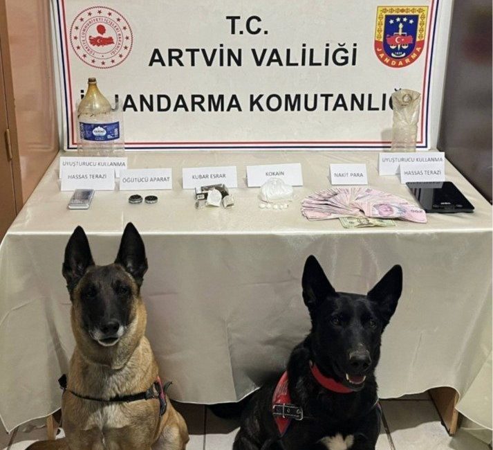 Artvin İl Jandarma Komutanlığı ekiplerince, uyuşturucu madde imal ve ticaretinin