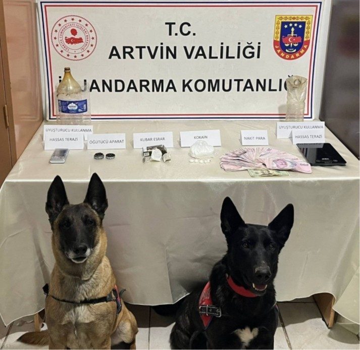 Artvin İl Jandarma Komutanlığı ekiplerince, uyuşturucu madde imal ve ticaretinin