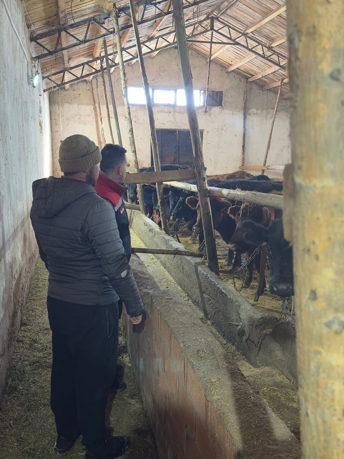 Kırsalda Bereket Hayvancılığa Destek Projesi kapsamında Bayburt’un Aydıntepe ilçesinde hak
