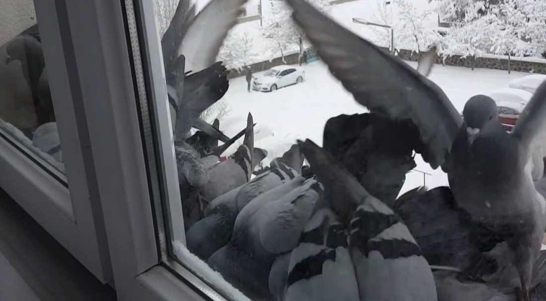 Bayburt’ta hava sıcaklığının eksi 18 dereceye kadar düştüğü soğuk günlerde,