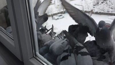 Bayburt’ta hava sıcaklığının eksi 18 dereceye kadar düştüğü soğuk günlerde,