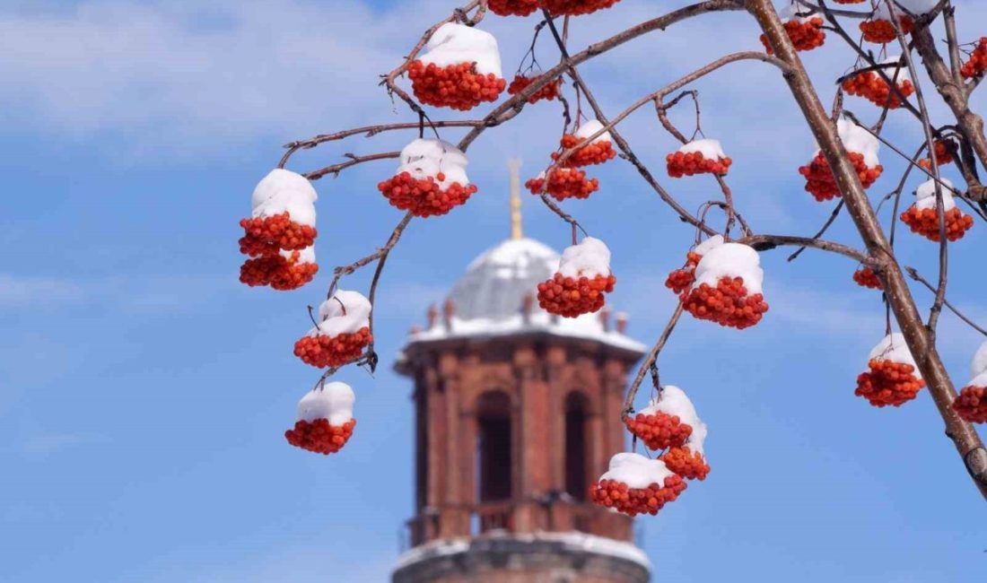 Uzmanlar Erzurum ve çevresi için buzlanma ve don uyarısı yaptı,