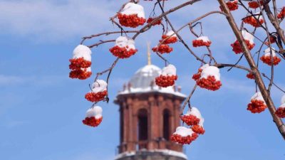 Uzmanlar Erzurum ve çevresi için buzlanma ve don uyarısı yaptı,