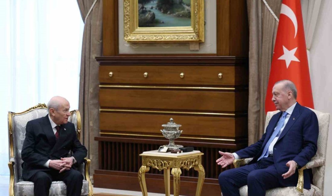 Cumhurbaşkanı Recep Tayyip Erdoğan, Milliyetçi Hareket Partisi (MHP) Genel Başkanı