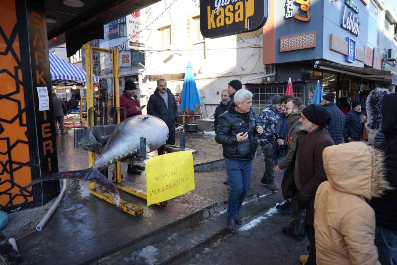 Atlantik Okyanusu’ndan avlanan 365 kiloluk dev orkinos Erzincan’da balık tezgâhında