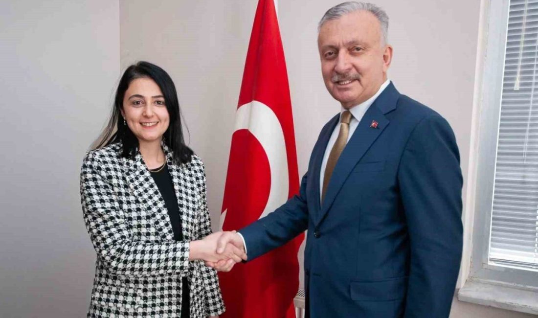 Erzincan Binali Yıldırım Üniversitesi Sosyal Bilimler Enstitüsü Müdürlüğüne atanan Doç.