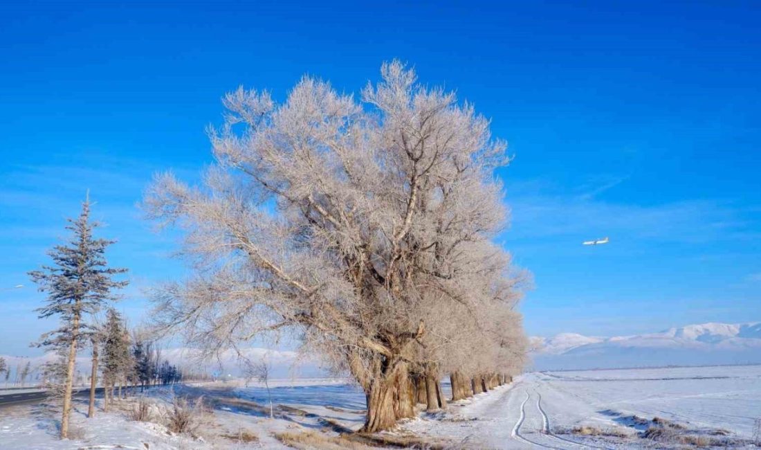 Doğu Anadolu Bölgesi yine buz kesti, Ardahan’ın Göle ilçesinde termometreler-27,5’i
