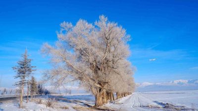 Doğu Anadolu Bölgesi yine buz kesti, Ardahan’ın Göle ilçesinde termometreler-27,5’i