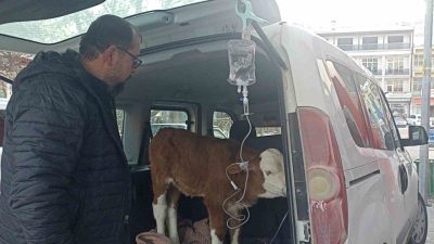 Sivas’ın Gürün ilçesinde ısınması için ahırda yakılan ateş sonucu karbonmonoksit