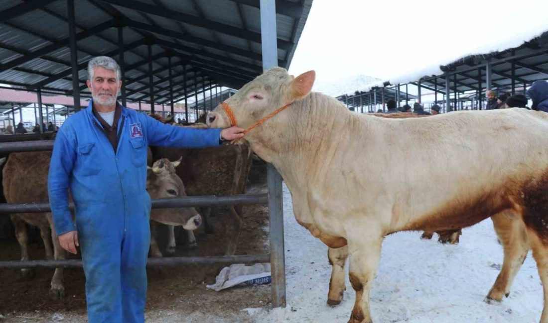 Erzurum ve bölgenin en hareketli canlı hayvan pazarlarından biri olan