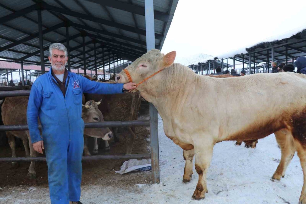 Erzurum ve bölgenin en hareketli canlı hayvan pazarlarından biri olan