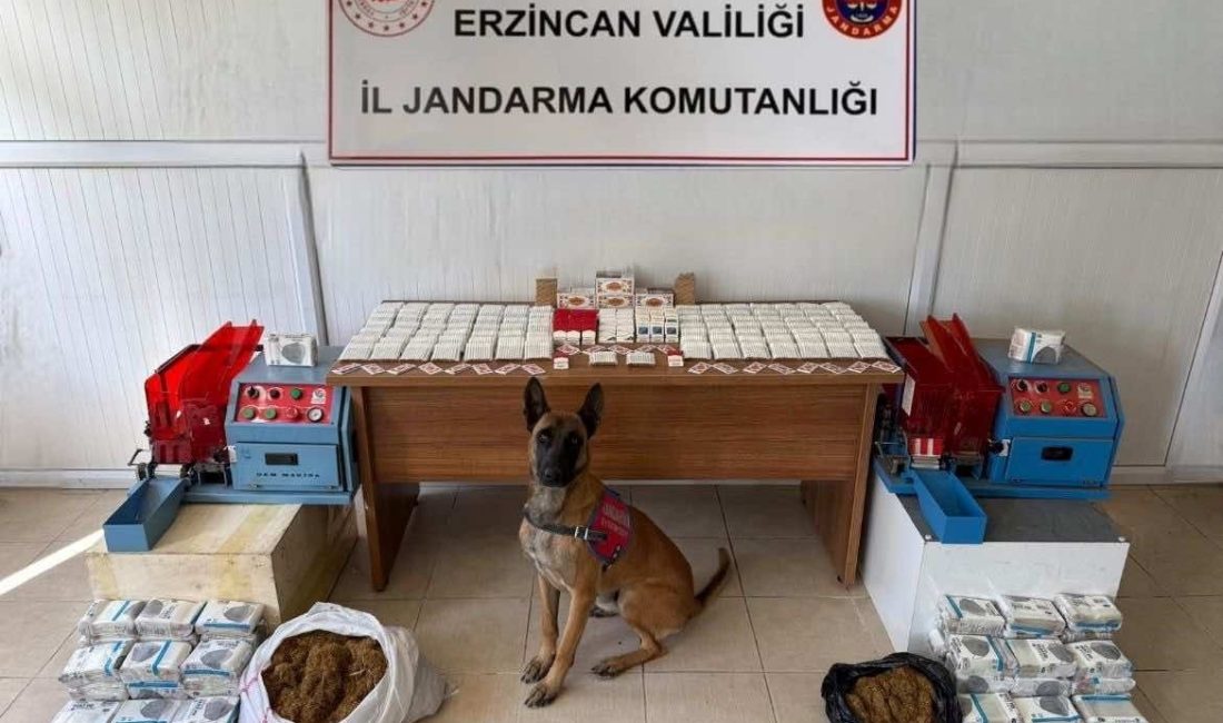 Erzincan İl Jandarma Komutanlığı, 2025 yılı içerisinde il genelinde yürütülen