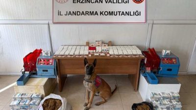 Erzincan İl Jandarma Komutanlığı, 2025 yılı içerisinde il genelinde yürütülen