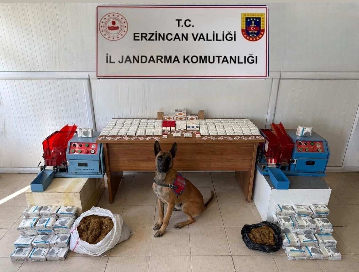 Erzincan İl Jandarma Komutanlığı, 2025 yılı içerisinde il genelinde yürütülen