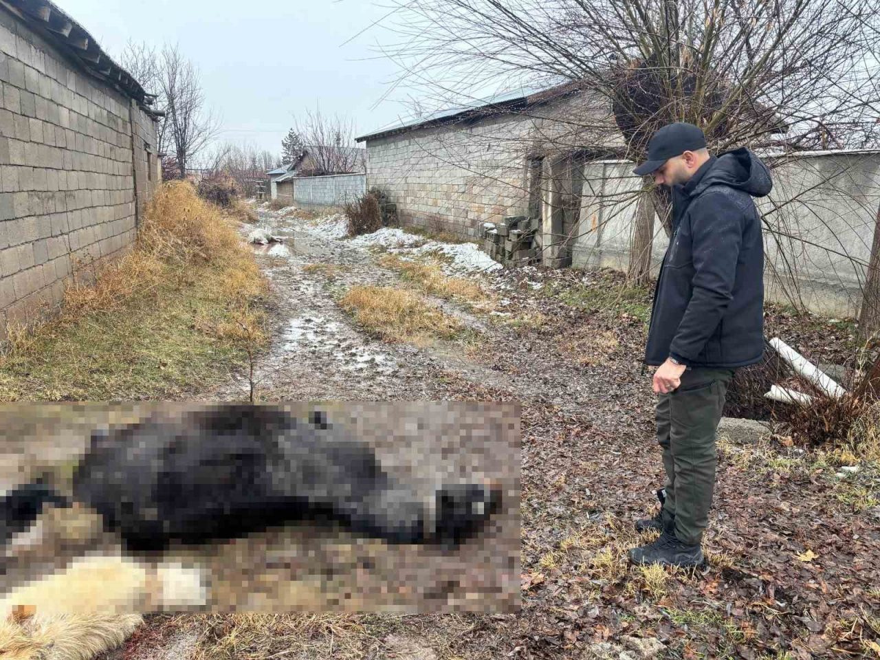 Erzincan’ın Güllüce köyünde bir vatandaşa ait at ve eşek, evde