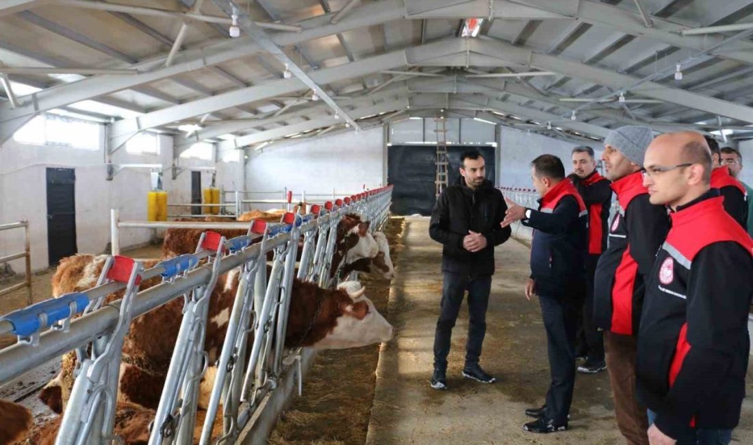 Tarım ve Orman Bakanlığı’nın Kırsal Kalkınma Yatırımlarının Desteklenmesi Programı (KKYDP)